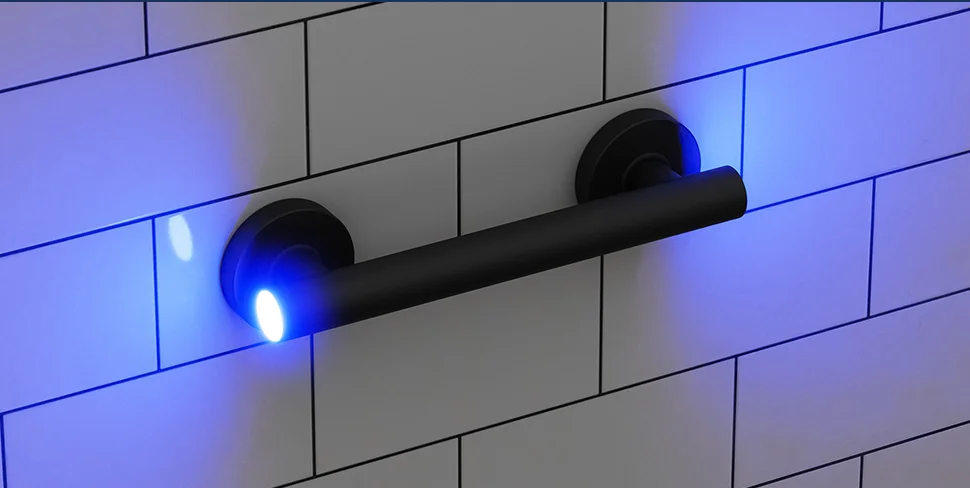 Grab Bars with light